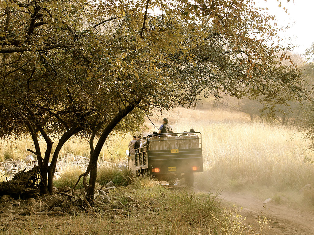 An intimate luxury tented camp near Ranthambore